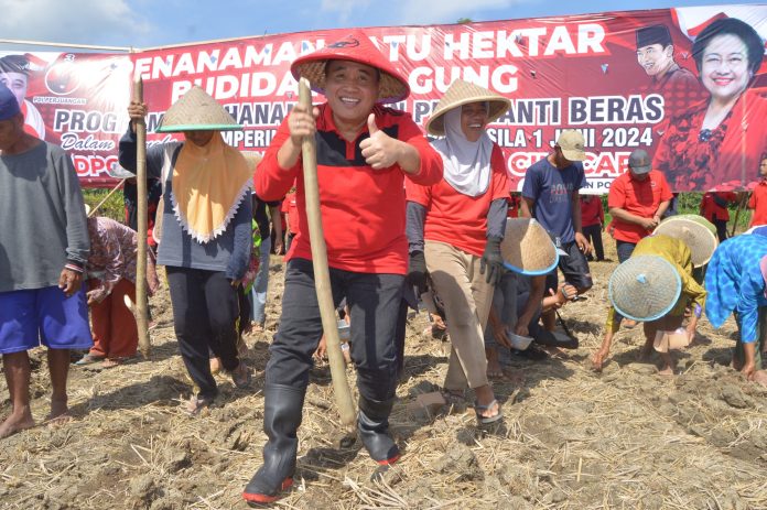 Taufik: Jagung Bisa Gantikan Nasi Sebagai Makanan Pokok Taufik Nurhidayat