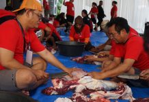 DPD PDI Perjuangan Jawa Tengah Rayakan Idul Adha, Bentuk Kesalehan Sosial