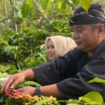 Yunianto