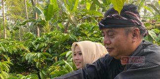 Yunianto: Kopi Gemawang Gerakkan Roda Perekonomian Yunianto