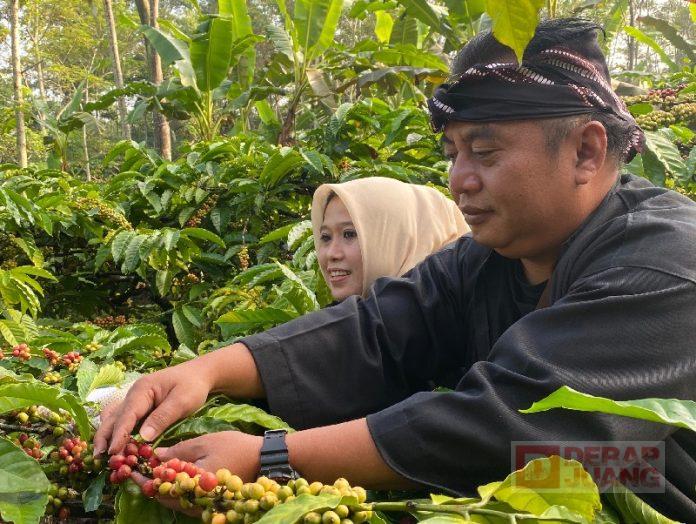 Yunianto Kopi Gemawang Gerakkan Roda Perekonomian Yunianto