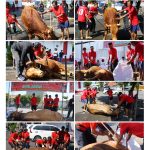 kolase kurban 8