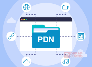 Server PDN Terkena Gangguan, Apa Itu PDN?