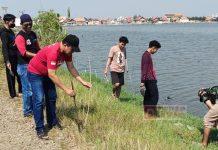 Atasi Abrasi Pantai, DPC PDI Perjuangan Kota Pekalongan Tanam Mangrove