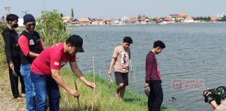 Atasi Abrasi Pantai, DPC PDI Perjuangan Kota Pekalongan Tanam Mangrove