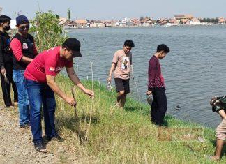 Atasi Abrasi Pantai, DPC PDI Perjuangan Kota Pekalongan Tanam Mangrove