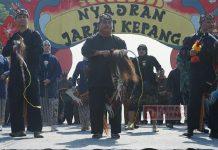 Yunianto