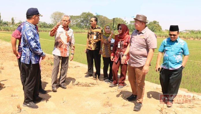 Foto H. Masan Saat Melakukan Sidak SIHT