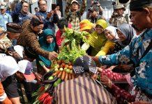 Mengembalikan Kejayaan Tembakau di Tlatah Temanggung Tembakau Temanggung