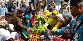 Mengembalikan Kejayaan Tembakau di Tlatah Temanggung Tembakau Temanggung