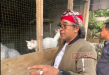 Kunjungi Mini Zoo, Agus Terkesan Kisah Kepedulian Agus Gondrong