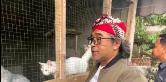 Kunjungi Mini Zoo, Agus Terkesan Kisah Kepedulian Agus Gondrong