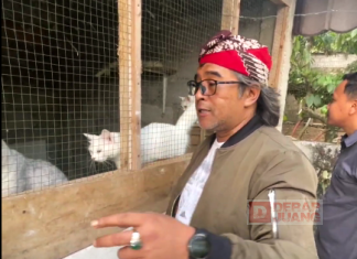 Kunjungi Mini Zoo, Agus Terkesan Kisah Kepedulian Agus Gondrong