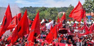 Pilkada 2024, Kader Banteng Kuasai Wilayah Semarang Raya Pilkada 2024, Kader Banteng Kuaasai Wilayah Semarang Raya