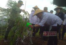 Hari Menanam Pohon, Bupati Afif: Kita juga Harus Merawat, Jangan Hanya Tanam Saja
