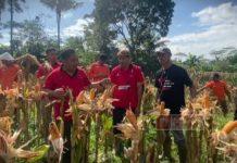 Dampingi Petani, Yunianto Dorong Terwujud Ketahanan Pangan Yunianto