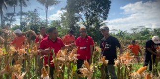 Dampingi Petani, Yunianto Dorong Terwujud Ketahanan Pangan Yunianto