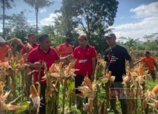 Dampingi Petani, Yunianto Dorong Terwujud Ketahanan Pangan Yunianto