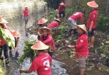 Peringati HUT PDI Perjuangan ke-52, Banteng Banyumas Lakukan Bersih-bersih Sungai