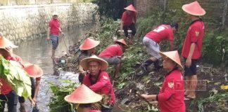 Peringati HUT PDI Perjuangan ke-52, Banteng Banyumas Lakukan Bersih-bersih Sungai