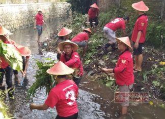 Peringati HUT PDI Perjuangan ke-52, Banteng Banyumas Lakukan Bersih-bersih Sungai