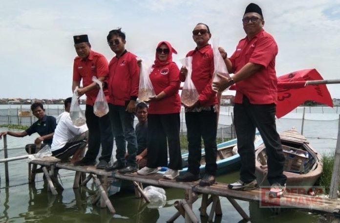 Peringati HUT Partai Ke-52, DPC PDI Perjuangan Kota Pekalongan Tebar 5.200 Bibit Ikan Nila.