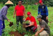 Sebagai Bentuk Ucapan Hari Ulang Tahun Ibu Megawati, Junarso Persembahkan Tumpengan Serta Tanam Pohon Durian dan Kelengkeng