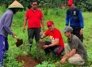 Sebagai Bentuk Ucapan Hari Ulang Tahun Ibu Megawati, Junarso Persembahkan Tumpengan Serta Tanam Pohon Durian dan Kelengkeng