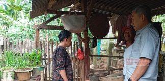 Kisah Sukses Peternak Binaan Junarso Dengan Ratusan Bebek Petelur