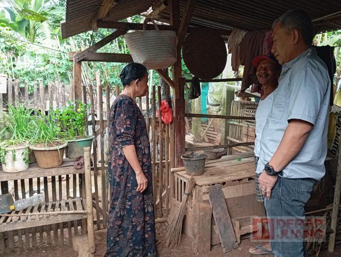 Kisah Sukses Peternak Binaan Junarso Dengan Ratusan Bebek Petelur
