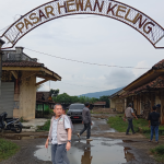 Pasar Hewan Keling Sangat Potensial, Junarso Dorong Operasi Harian