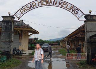 Junarso: Pasar Hewan Keling, Aset Daerah yang Perlu Dioptimalkan