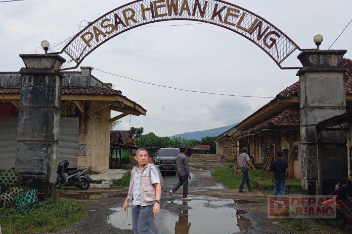 Pasar Hewan Keling Sangat Potensial, Junarso Dorong Operasi Harian