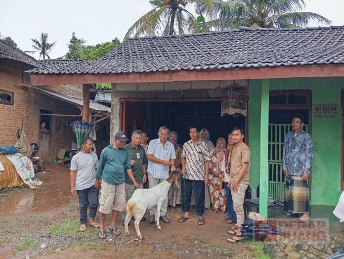 Kube Gemak Joyo Desa Damarwulan Dapat Pelatihan Fermentasi Pakan Ternak dan Bantuan Kambing dari Aspirasi Junarso (2)
