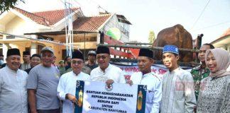Bupati Sadewo Serahkan Sapi Kurban dari Presiden Kepada Takmir Masjid Az Zahra Karangklesem