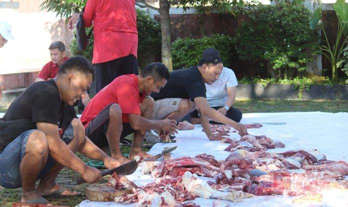 Idul Adha 1446 H, DPC PDI Perjuangan Banjarnegara Potong Hewan Kurban dari Utut Adianto PDI Perjuangan Banjarnegara