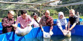Dorong Ketahanan Pangan dan Ekonomi Lokal, Bupati Sadewo Serahkan Bantuan Bibit Ikan dan Ternak