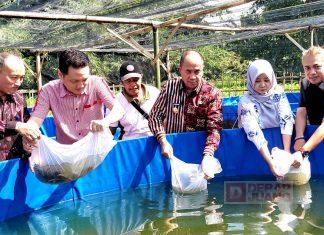 Dorong Ketahanan Pangan dan Ekonomi Lokal, Bupati Sadewo Serahkan Bantuan Bibit Ikan dan Ternak