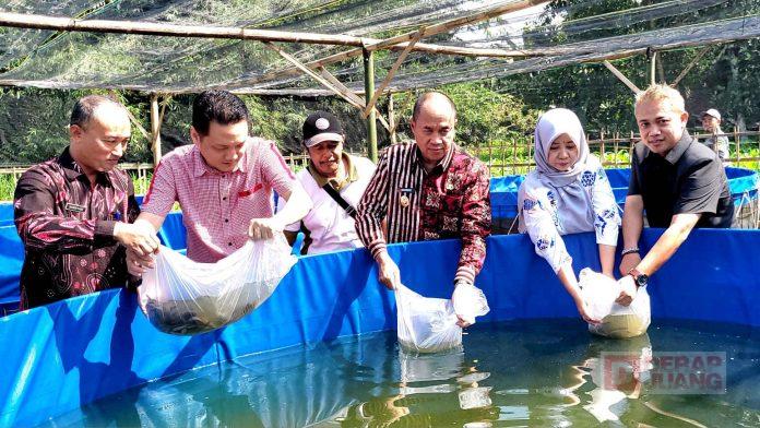 Dorong-Ketahanan-Pangan-dan-Ekonomi-Lokal-Bupati-Sadewo-Serahkan-Bantuan-Bibit-Ikan-dan-Ternak