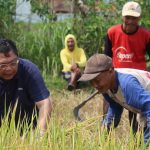 Picture-of-The-Day-13-Oktober-2025