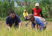 Serap Aspirasi Petani di Banjarnegara, Utut Adianto: Kita Perjuangkan dengan ‘Kebijakan’ Utut Adianto