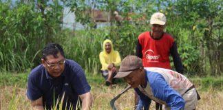Serap Aspirasi Petani di Banjarnegara, Utut Adianto: Kita Perjuangkan dengan ‘Kebijakan’ Utut Adianto