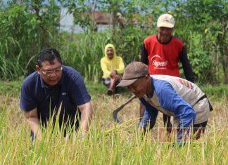 Serap Aspirasi Petani di Banjarnegara, Utut Adianto: Kita Perjuangkan dengan ‘Kebijakan’ Utut Adianto