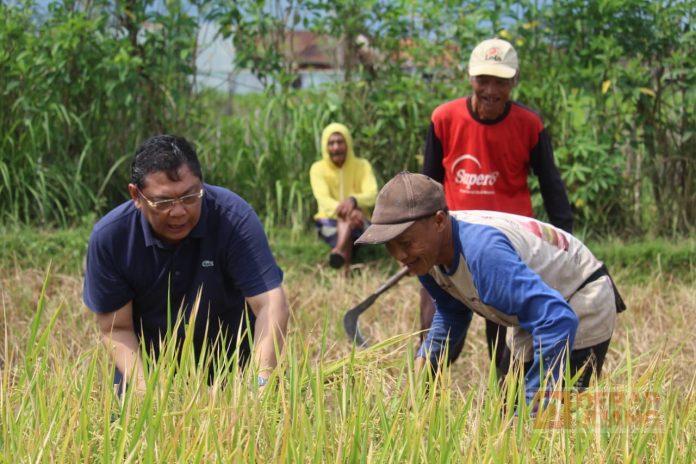 Serap Aspirasi Petani di Banjarnegara, Utut Adianto: Kita Perjuangkan dengan 'Kebijakan' Utut Adianto